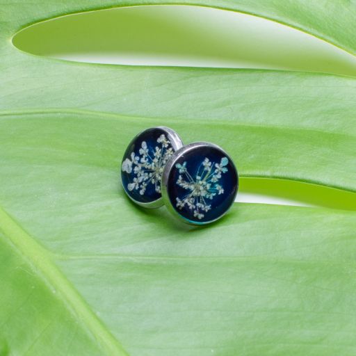 Graine - Félicienne