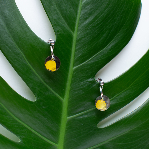 Pollen - Bérengère