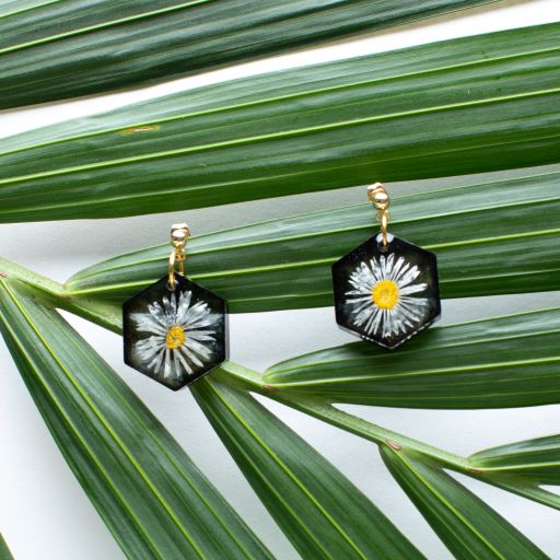 Soleil - Pâquerette